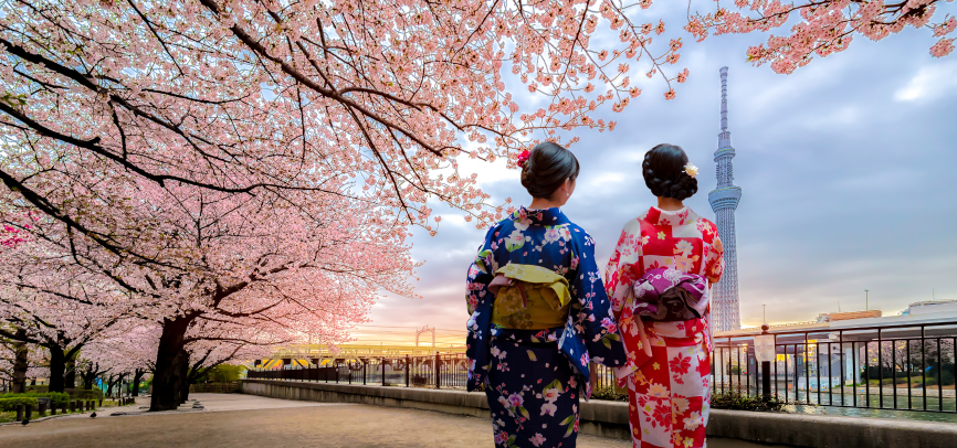 Two korean women under blossoming tree