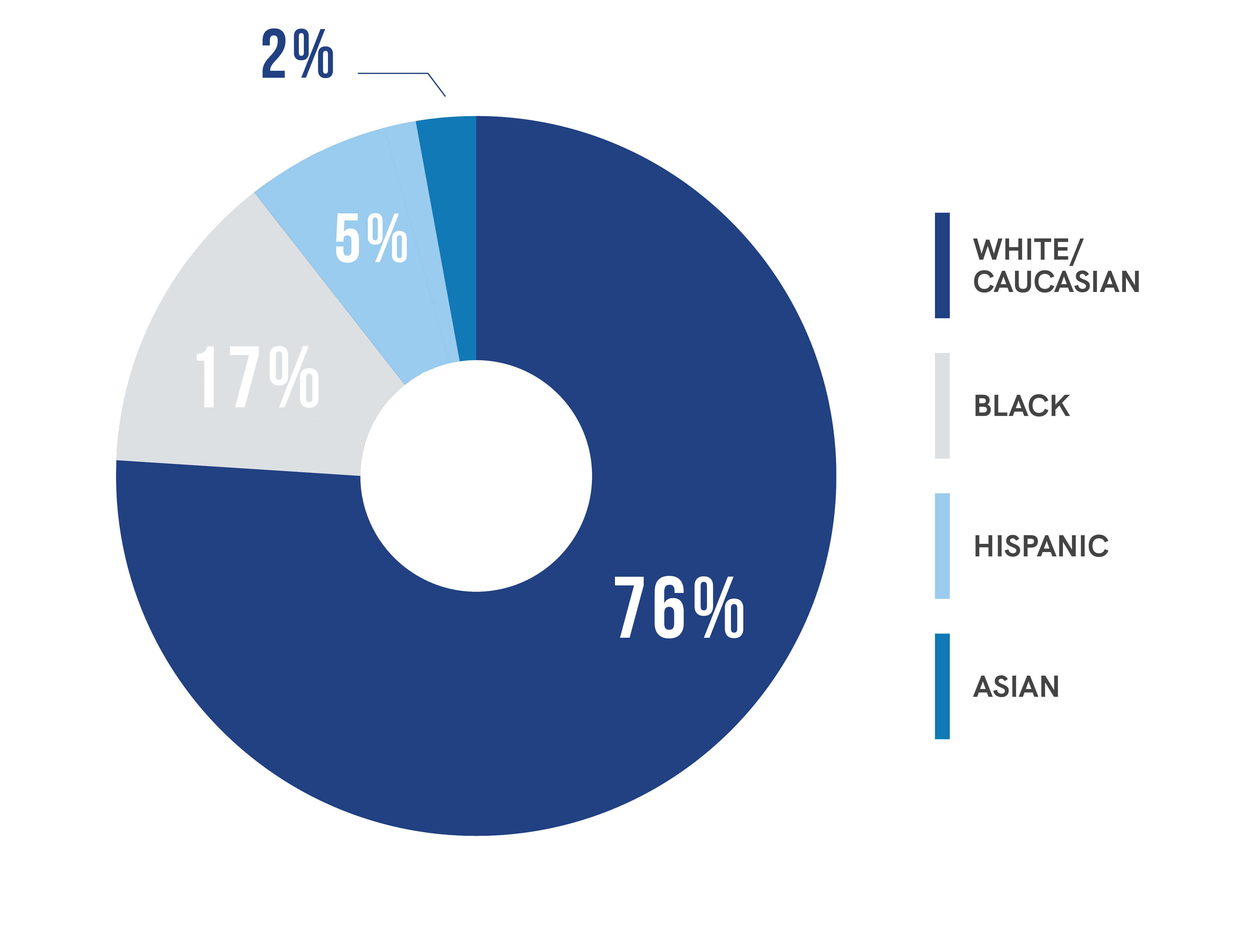 Diversity chart of Graziadio board