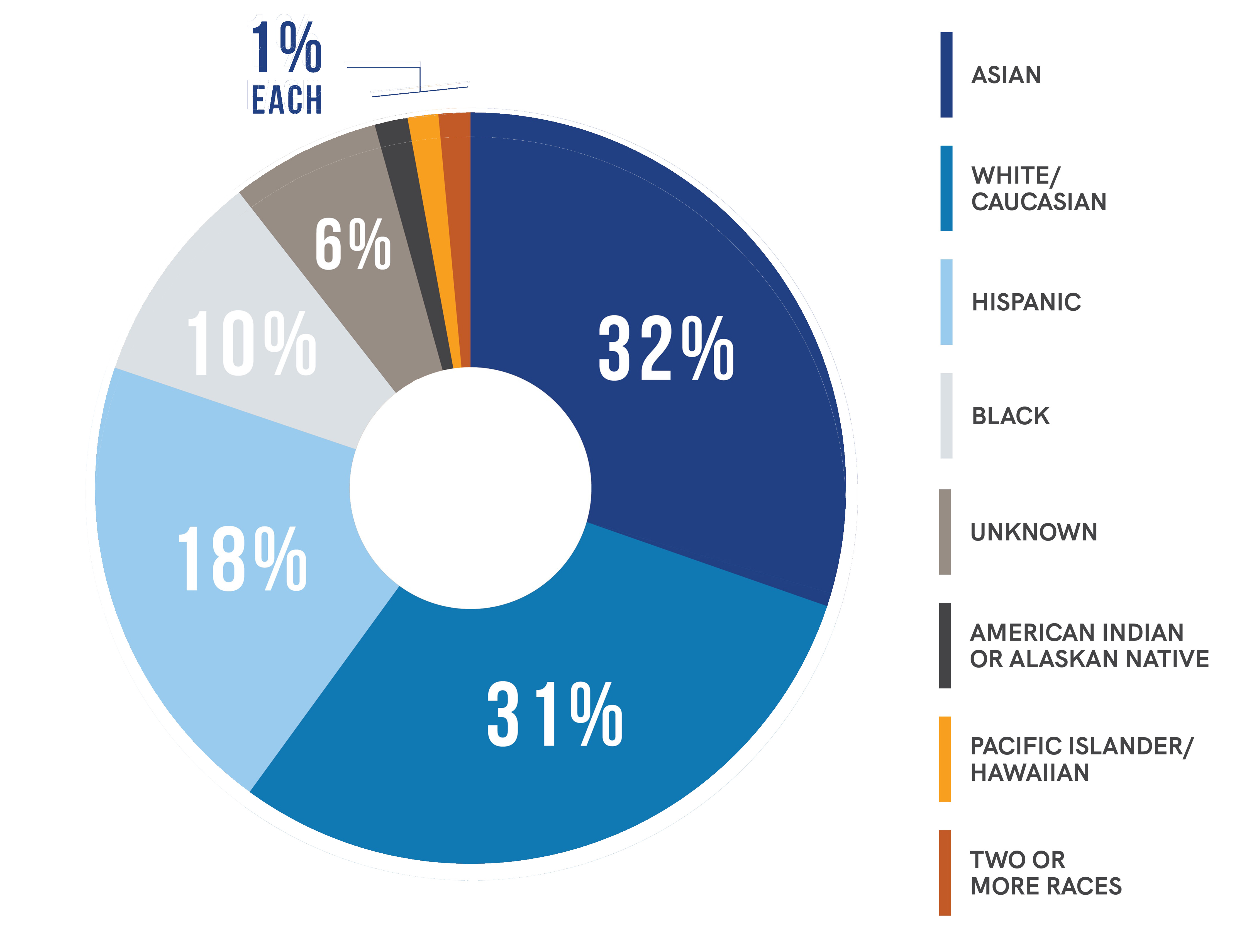 Diversity chart of Graziadio students