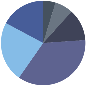 Ethnicity Chart