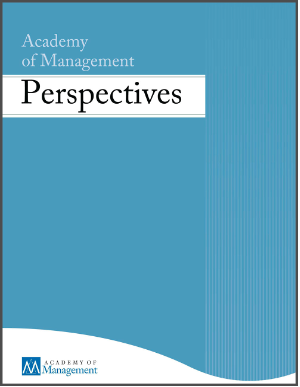 academy of management perspective