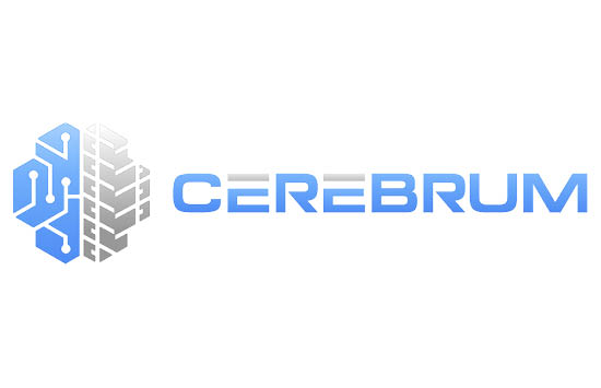 Cerebrum Sensor Technologies, Inc.