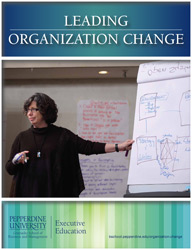 Diagnosis In Organizational Change Programs